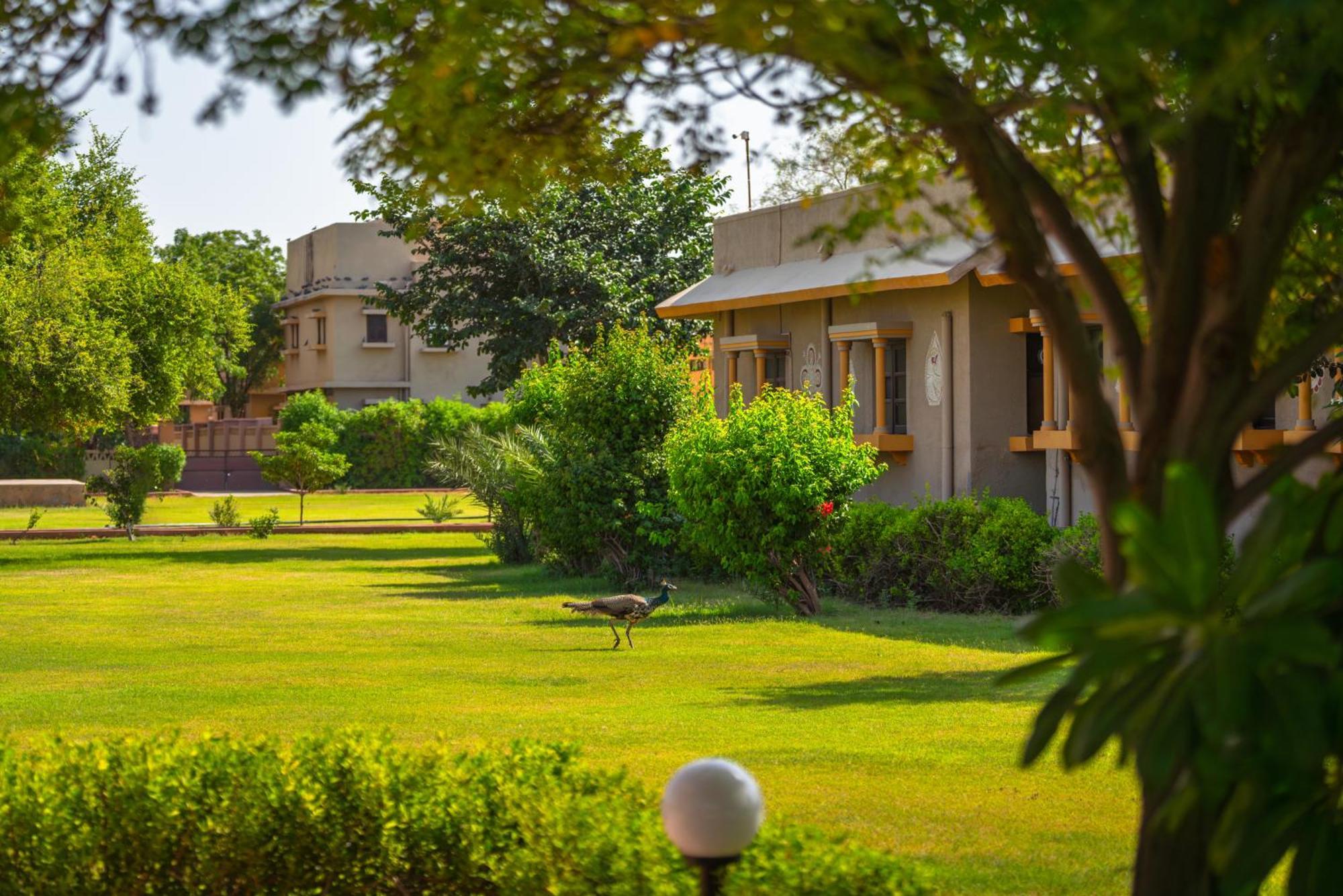 Thar Oasis Resort And Camp Dechu Exterior photo